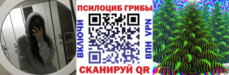 Псилоцибиновые грибы прущие грибы  Купить закладки  Усинск 
